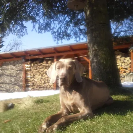 Country house Guest House Sneznik Sneznik