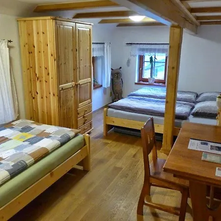 Guest House Sněžník Venkovský dům
